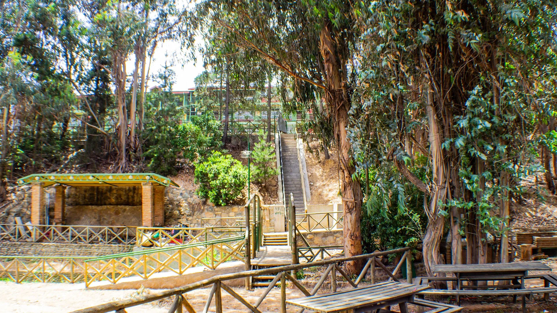 Quincho y bosque nativo del Colegio Manantial