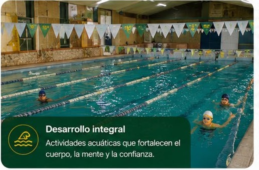 Desarrollo integral